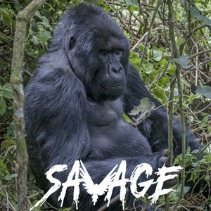 Meet your Posher, Ivan